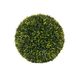 Aufora Topiary, Groen, Klein