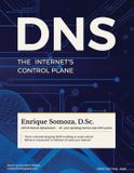 DNS: Le plan de contrôle de l'Internet Paperback