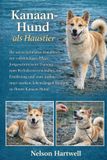 Kanaan-Hund ALS Haustier
