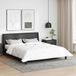 vidaXL Housse de couette d'hiver 240 x 200 x 5 cm Hiver Polyester Blanc Respirant