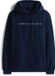 Tommy Jeans TJM Reg Linear Logo Hoodie Ext