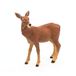 Papo - Realistische hinde figuur - 3 jaar en ouder - Wilde dieren collectie - Educatief spel bosdieren - Cadeau-idee speelgoed voor meisjes en jongens