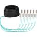 EFB Elektronik O8341S40OM3 InfiniBand und Glasfaserkabel 40 m 12x SC U-DQ(ZN) BH Beige, Schwarz, Blau