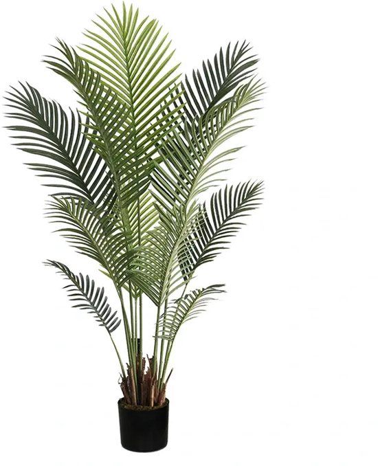 Buitengewoon Boet Kunstplant Palm - 152cm
