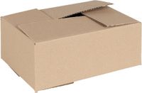 vidaXL Vouwdoos met opslag 50 stuks Naturel 25 x 17,5 x 10 cm Karton