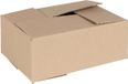 vidaXL Vouwdoos met opslag 50 stuks Naturel 25 x 17,5 x 10 cm Karton