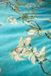 Beddinghouse x Van Gogh Museum Almond Blossom de Velours dekbedovertrek - Lits-Jumeaux XL - 260 x 200/220 cm - Blauw