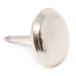 Adsamm MG-N-18-100 MG-N-18 100 x metalen glijders met spijker, zilver, Ø 18 mm