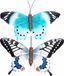 Papillons - 2x - métal 48 x 30 cm - bleu/blanc-bleu