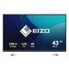 EIZO FlexScan EV4340X-BK 42.5" 4K UHD Monitor