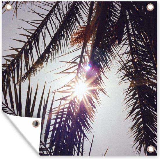 GreatGardenPosters Tuinposter - Palm - Palmbladeren - Palmboom - Tuin - Natuur - 50x50 cm - Tuindecoratie - Tuindoek