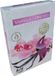 Bispol Geurtheelichtjes, vanille-orchidee, 6 stuks