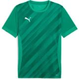 Puma Jersey Teamgoal Graphic