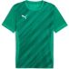 Puma Jersey Teamgoal Graphic