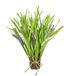 Kunstgrasstruik met lavendel, grasbundel, lavendelbloemen, kunstgras, bundel, stagras, bloemen, grasarrangement, decoratie, kunstplant, grasbundel, groene plant, siergras, struiken