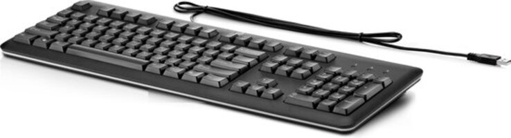 HP USB Keyboard for PC - Black - QY776AA