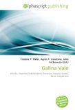 Galina Vale: Kharkiv, Charisma, Individualism, Flamenco, Antonio Vivaldi, Music competition