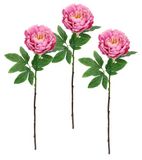 Kunstbloem peonia boerenroos pioenrozen tak enkele bloem steelbloem bloemblaadjes kunstbloemen bijwerk voor kunstboeketten en boeketten bloemstukken decoratieve bloemen, set van 3, roze