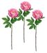 Kunstbloem peonia boerenroos pioenrozen tak enkele bloem steelbloem bloemblaadjes kunstbloemen bijwerk voor kunstboeketten en boeketten bloemstukken decoratieve bloemen, set van 3, roze