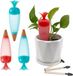 Sans marque Pointes auto-arrosantes, jardinière auto-arrosante et boules d'arrosage, 4 bâtons d'arrosage pour plantes avec 3 outils de jardinage