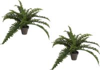 Mica Decorations Boston Varen Kunstplant/Kamerplant - 2 stuks - Groen - In pot - H35 cm x D45 cm