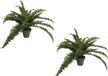 Mica Decorations Boston Varen Kunstplant/Kamerplant - 2 stuks - Groen - In pot - H35 cm x D45 cm