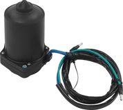 Moteur de moyeu Moteur d'inclinaison et de garniture - 260 W - Convient aux moteurs 2 temps de 75–300 ch - Convient aux moteurs 4 temps de 135–300 ch - En cuivre pur - Avec câble - Noir