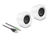 DeLOCK 27008 2.0 PC-luidsprekers Kabelgebonden 2 W Wit-zilver
