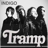 7-Indigo Indigo 12" Vinyl Box Set