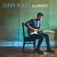 UNIVERSAL MUSIC B.V. Shawn Mendes - Illuminate - Black Vinyl