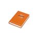 Pigna Dagboek 12 maanden monochroom groen S. 448