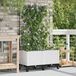 Maison Exclusive - Deux jardinières pour fleurs avec système d'arrosage et roues, en plastique PP, de couleur blanche
