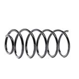 KAYABA UK KYB RC3459 spoelveer | Compatibel met: VOLVO S60 I