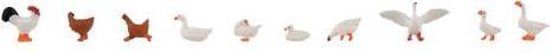 Faller - Hens. ducks and geese - FA151909