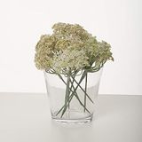 Express Flor 3 kunstbessen