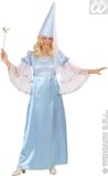 Widmann Elfen Feeen & Fantasy Kostuum Prinses Fee Lichtblauw Kostuum Vrouw Small Carnaval kostuum Verkleedkleding
