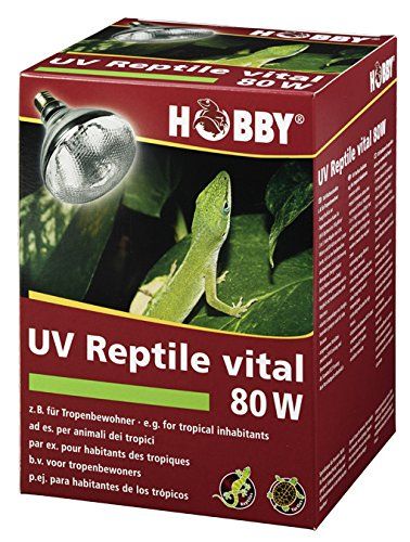 Hobby 37317 UV-reptiel vital Tropic - 80 W