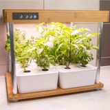 Bioponis Bamboo 2 - Hydrocultuur kamermoestuin voor Aromatische Planten - 16 Kweekplaatsen