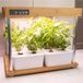 Bioponis Bamboo 2 - Hydrocultuur kamermoestuin voor Aromatische Planten - 16 Kweekplaatsen
