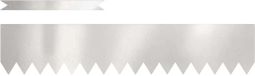 vidaXL Grasafscherming - 10 stuks - 100 x 0.05 x 20 cm - Roestvrij staal - Zilver