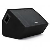SubZero C10M 10 350 W passieve podiummonitor