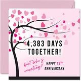 Grappige zijden verjaardagskaart voor vrouw of echtgenoot - 4383 dagen samen - I Love You cadeaus, gelukkige 12e huwelijksverjaardag kaarten voor partner, 145 mm x 145 mm wenskaarten voor twaalfde verjaardag