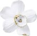 Kare Design Kare Wanddecoratie Orchid Wit 25 cm