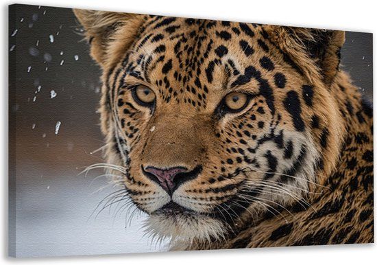 Merkloos / Sans marque Leopard Wall Decoration - Animal Portrait - Canvas Painting Snow - Modern Wall Decoration - Canvas Paintings - Home Decoration Canvas 70x50 cm
