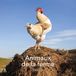 Calendrier 2027 animaux de la ferme: Calendrier mural à spirales
