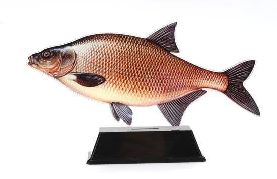 Vistrofee Real Fish Brasem 18 cm - Prijs Viswedstrijd
