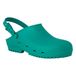 REPOSA MAX klompen, hygiëneklompen, natuurlijk antistatisch polymeer, latexvrij, comfortabel, licht, gesloten bovenmateriaal, zijgaten, anatomische SRC zool