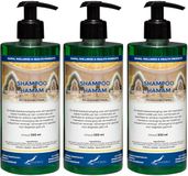 Claudius Cosmetics B.V. Hamam Shampoo 500 ml met 3 zwarte pompen - set van 3 stuks