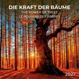 Tushita Prachtige Bomen Kalender 2027