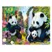 Diamond Panda Diamond Painting Set, afbeelding met panda familie motief en accessoires, knutselset om te schilderen met glittersteentjes, voor kinderen vanaf 5 jaar